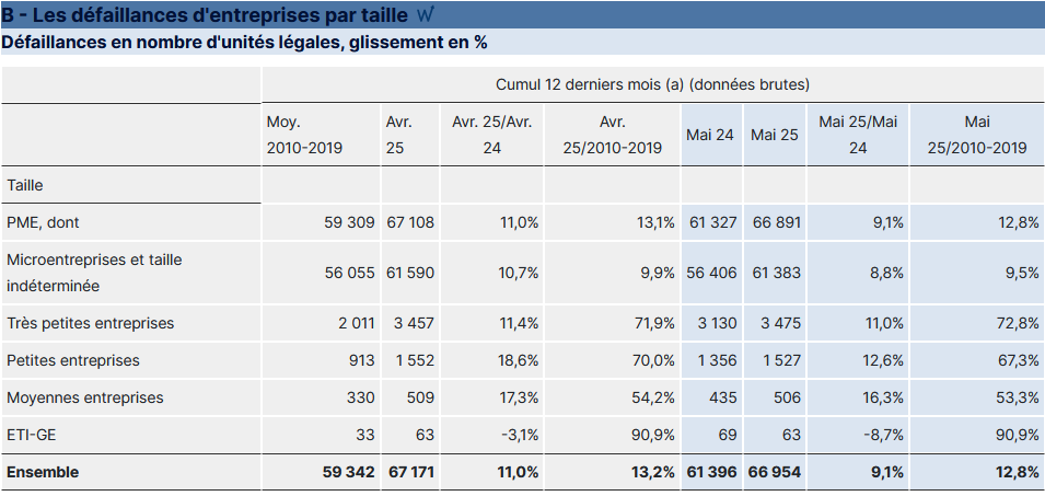 /img/defaillances-ent-mai2025-2.png