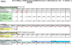 Reporting Credit Management